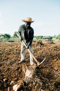 /Farmers Photos Kelly.jpg