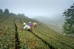 /New Tech Farmers Quang Nguyen Vinh.jpg